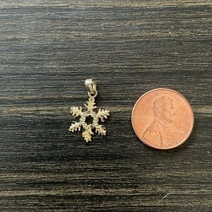 ❄️ Snowflake 14k Gold Charm